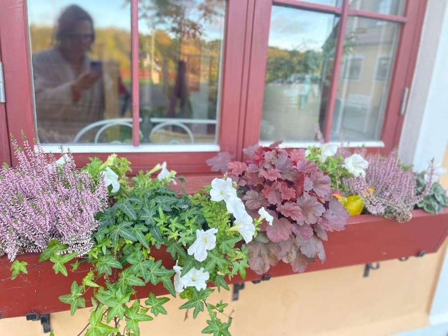 New And Cosy Apartment On A Farm คุงส์บักกา ภายนอก รูปภาพ